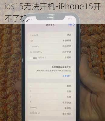 ios15无法开机-iPhone15开不了机