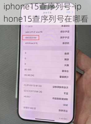 iphone15查序列号-iphone15查序列号在哪看