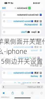 苹果侧面开关是什么-iphone15侧边开关设置